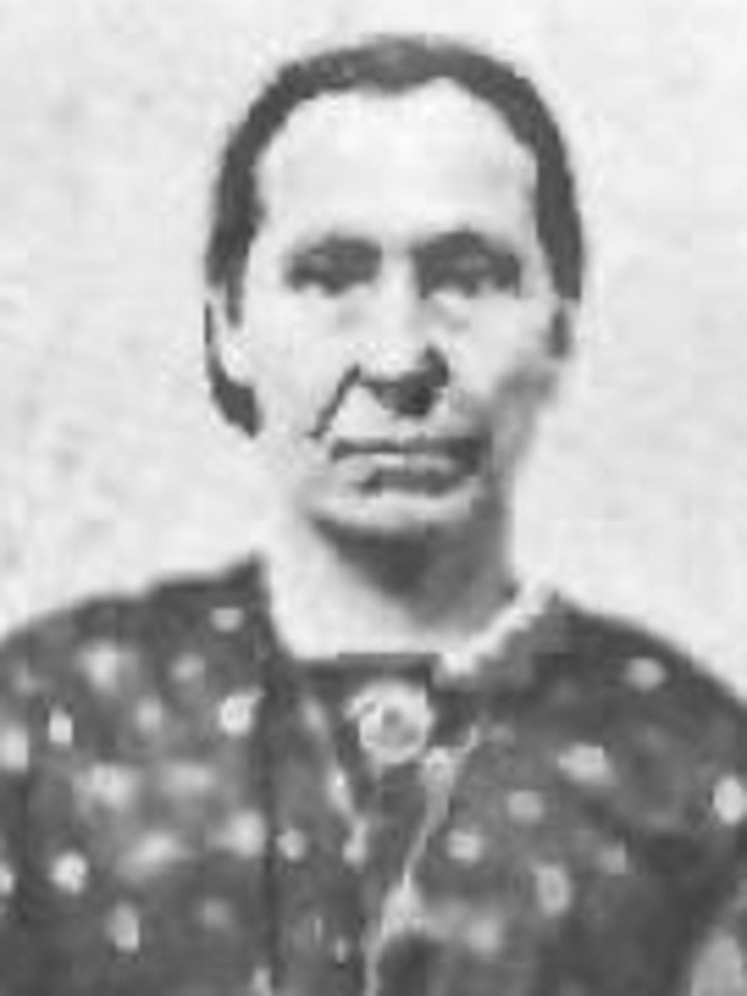 Abigail Cram (1825 - 1904) Profile